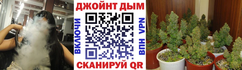 Купить  Снежногорск  Каннабис план 